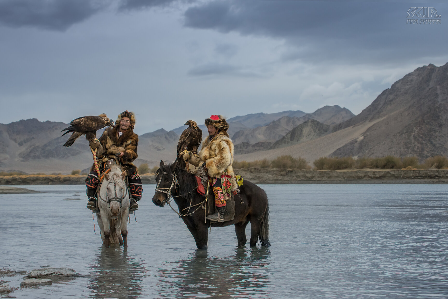 Ulgii - Golden Eagle Festival - Eagle hunters Two Kazakh eagle hunters let their horses drink in the river after the first day of the Golden Eagle festival in the Altai mountains in Mongolia. Stefan Cruysberghs